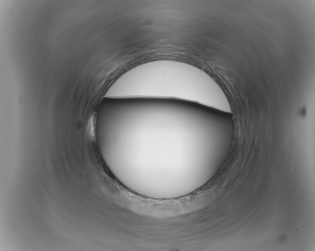 X0000091930042200709051250