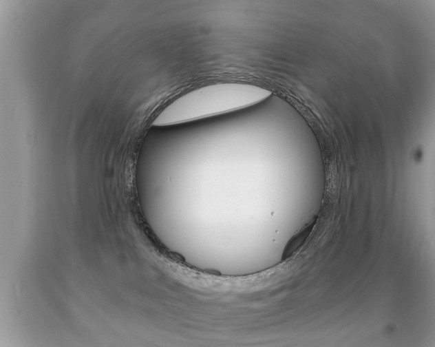X0000091930043200709051250