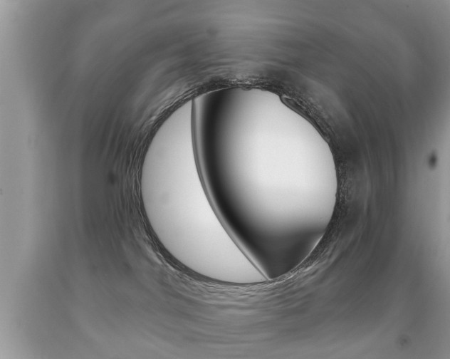 X0000091930044200709051250