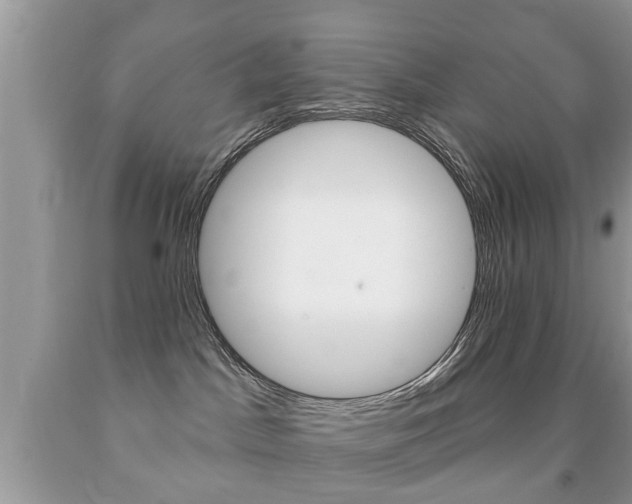 X0000091930045200709051250