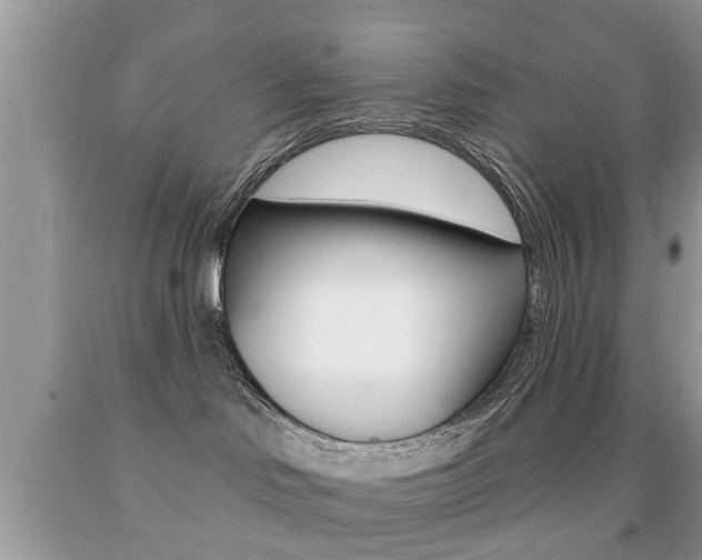 X0000091930046200709051250