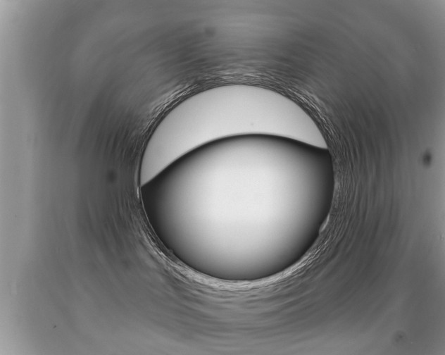 X0000091930047200709051250
