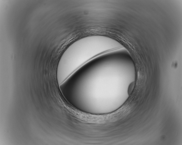 X0000091930048200709051250