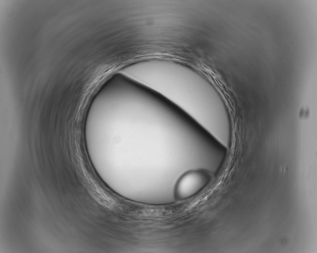 X0000091930049200709051249