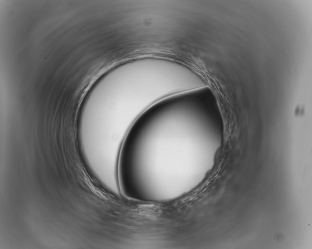 X0000091930050200709051249