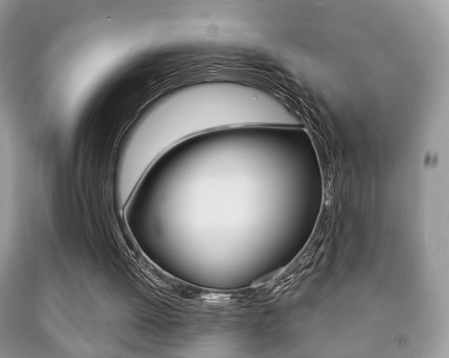 X0000091930052200709051249