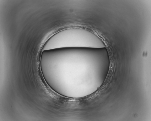 X0000091930053200709051249