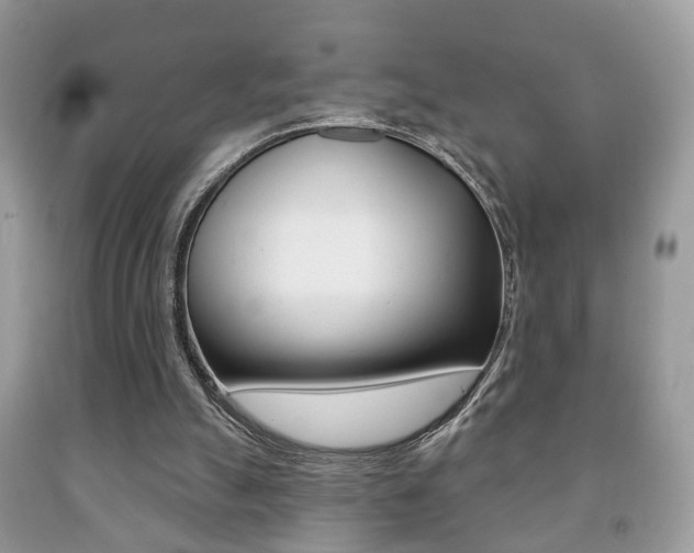 X0000091930055200709051249