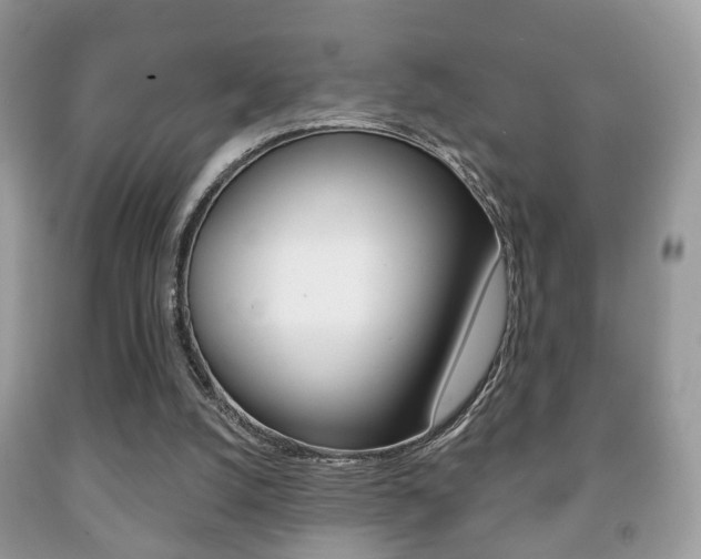 X0000091930056200709051249