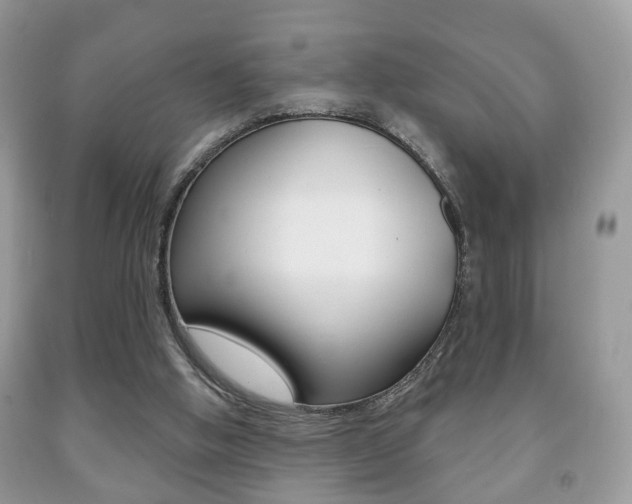 X0000091930058200709051249
