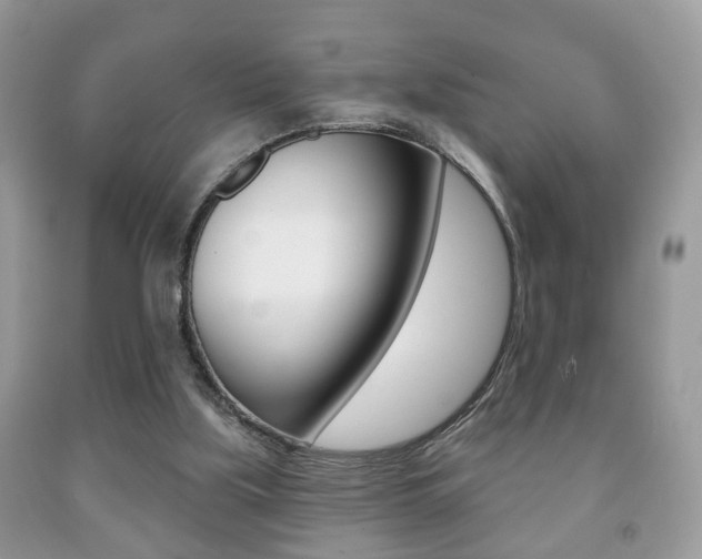 X0000091930059200709051249