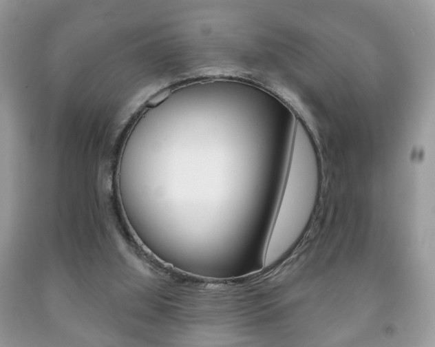X0000091930060200709051249
