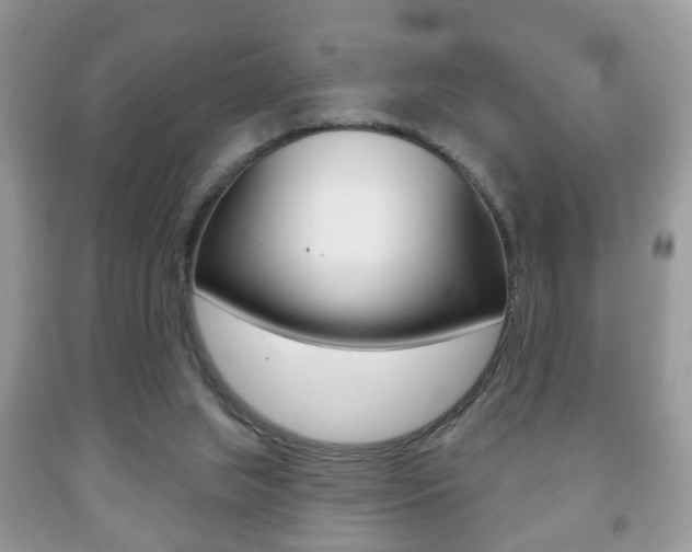 X0000091930063200709051249