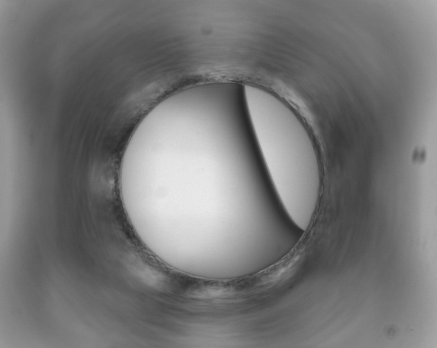X0000091930065200709051250