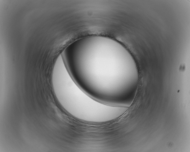 X0000091930066200709051250