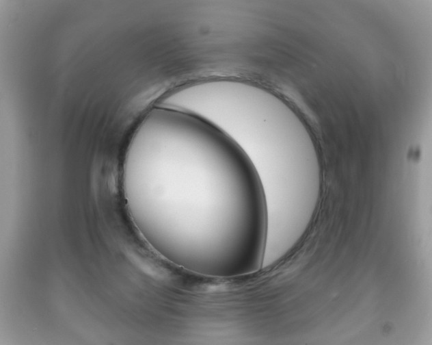 X0000091930068200709051250