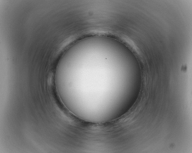 X0000091930071200709051250