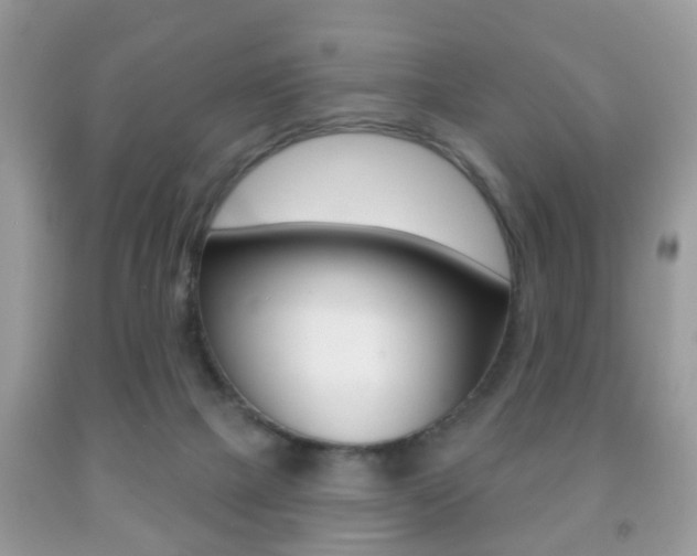 X0000091930073200709051250