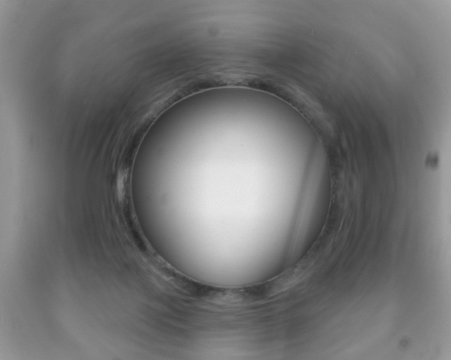 X0000091930075200709051250