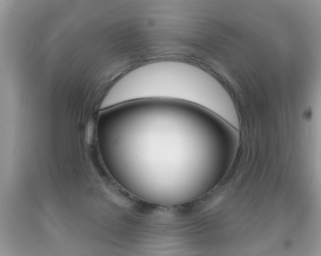 X0000091930076200709051250