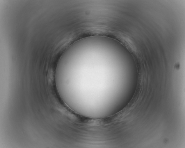 X0000091930077200709051250