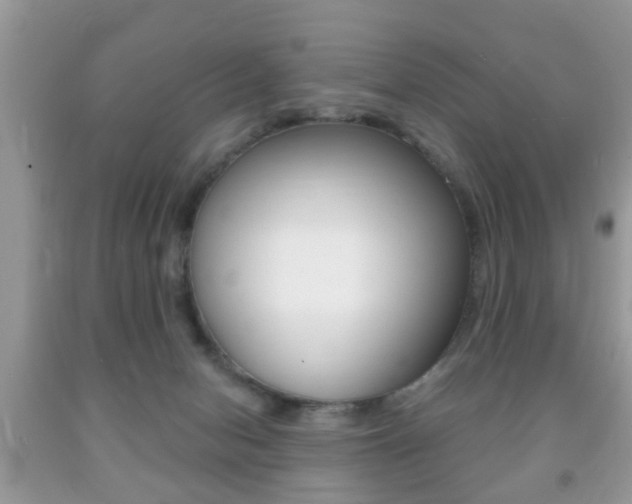 X0000091930078200709051250