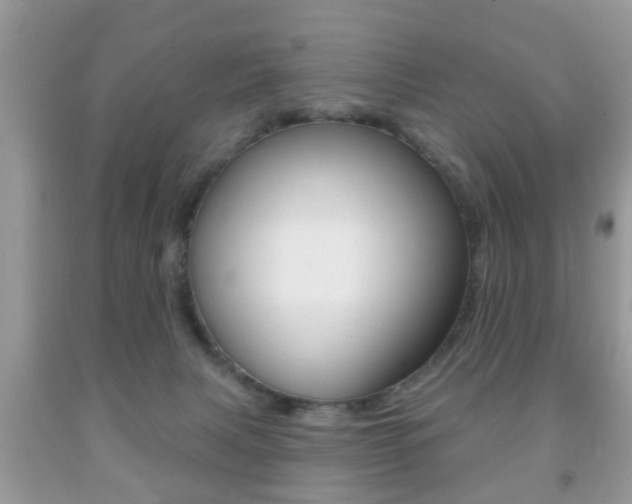 X0000091930079200709051250