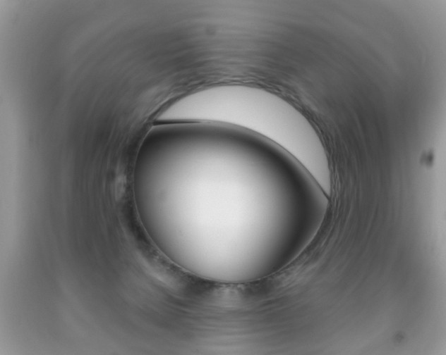 X0000091930080200709051250