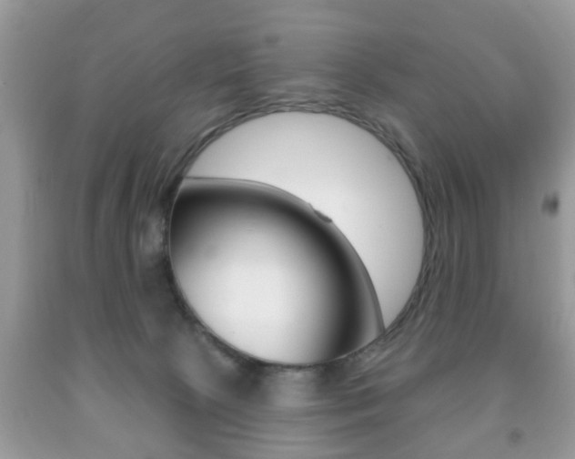 X0000091930081200709051250