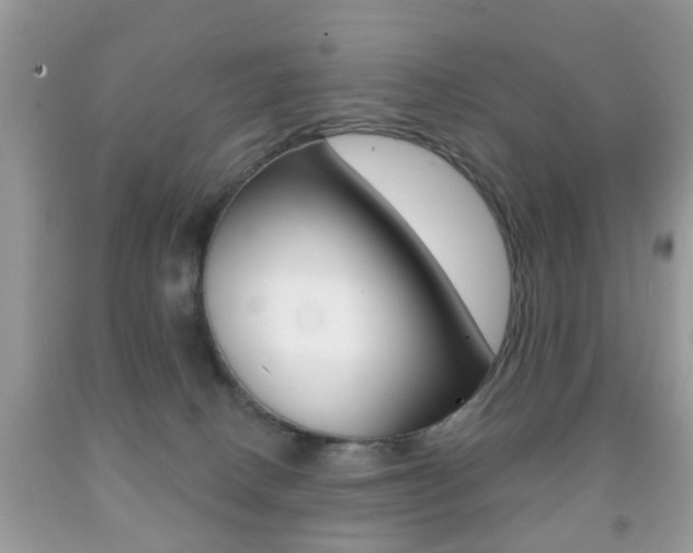 X0000091930082200709051250