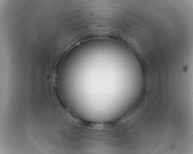 X0000091930083200709051250