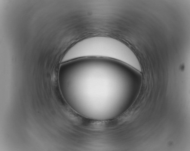 X0000091930084200709051250