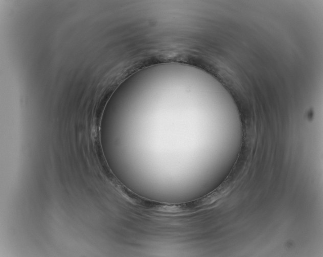 X0000091930085200709051250