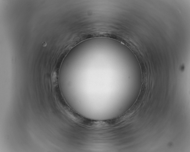 X0000091930087200709051250