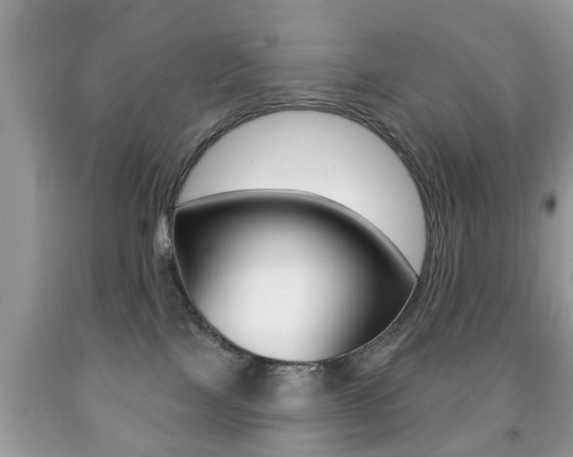 X0000091930089200709051250