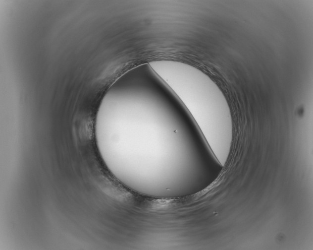 X0000091930090200709051250