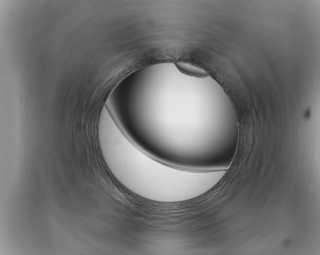 X0000091930091200709051250