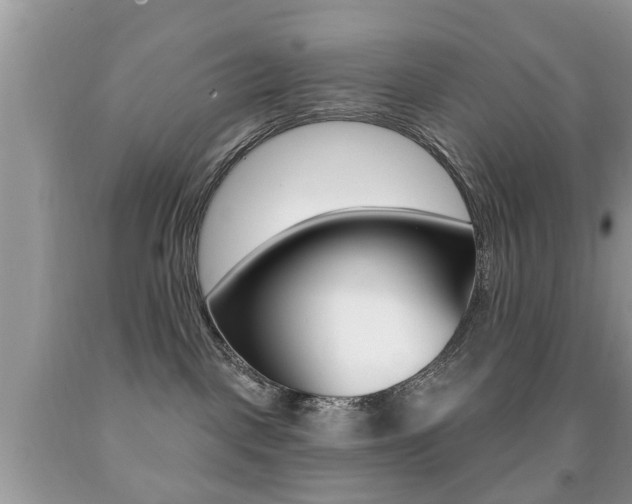 X0000091930093200709051250