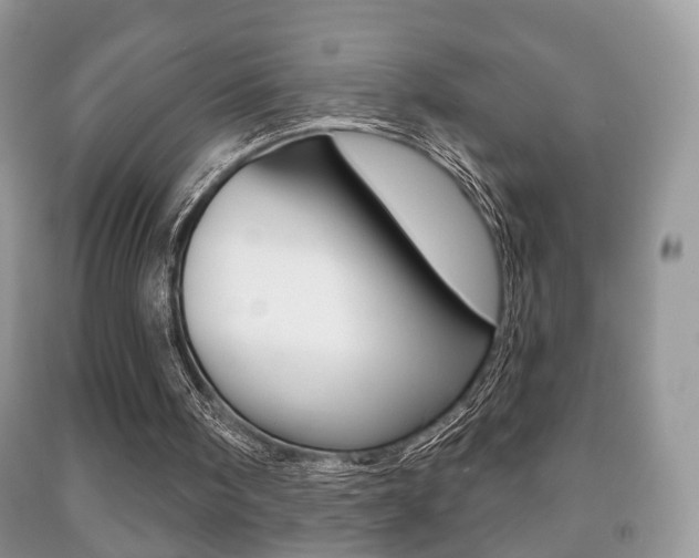 X0000091930098200709051249
