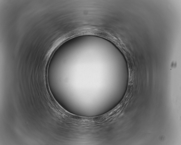 X0000091930099200709051249