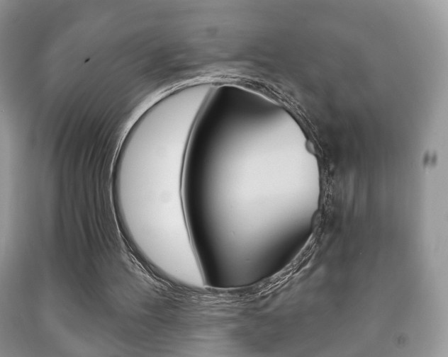 X0000091930100200709051249