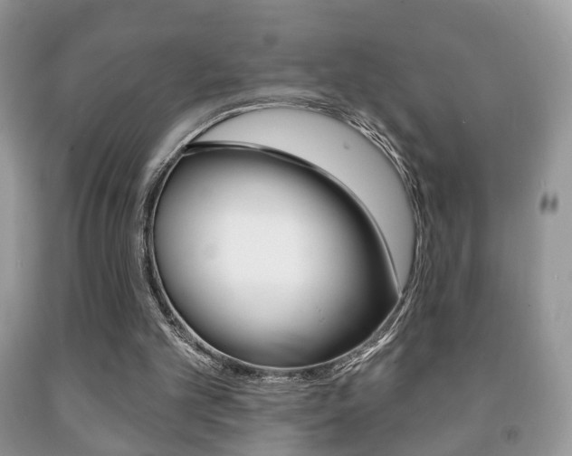 X0000091930101200709051249