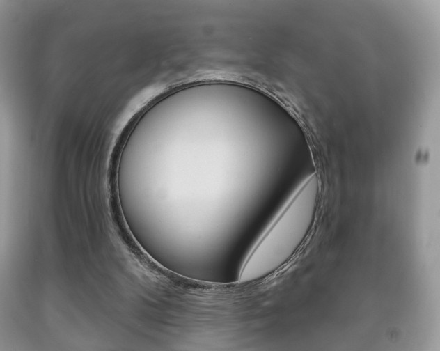 X0000091930104200709051249