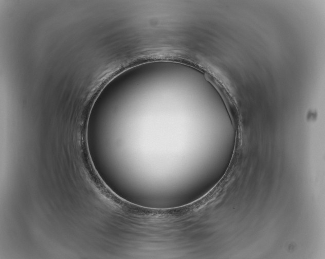 X0000091930105200709051249