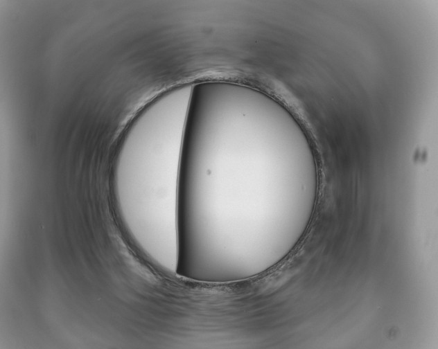 X0000091930106200709051249