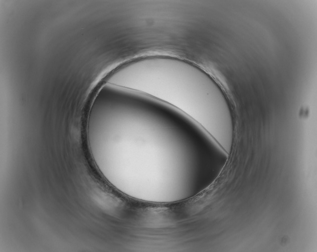 X0000091930108200709051249