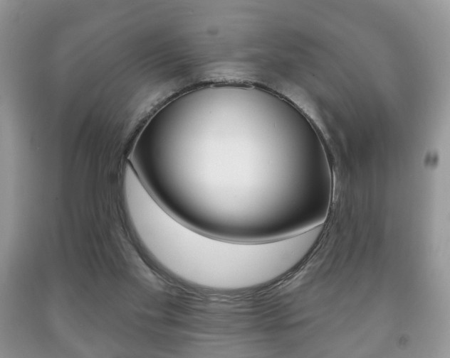 X0000091930109200709051249