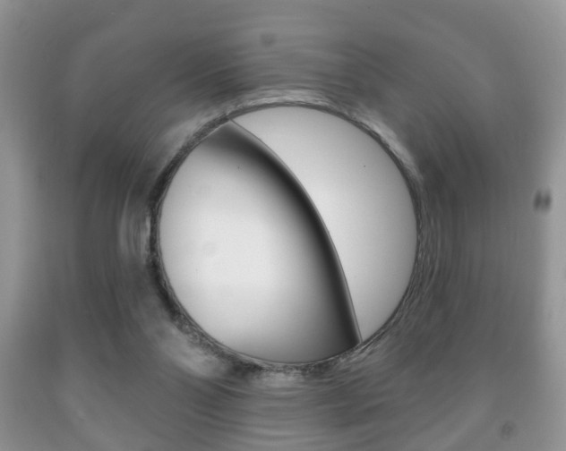 X0000091930110200709051249
