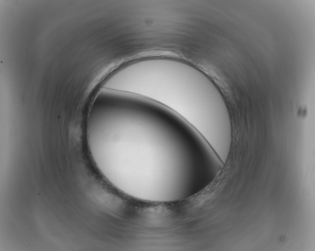 X0000091930112200709051249