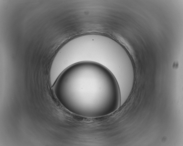 X0000091930113200709051249
